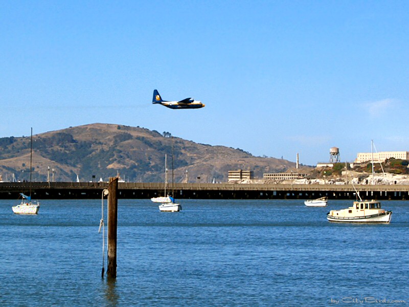 U.S. Marines Flying over San Francisco Bay